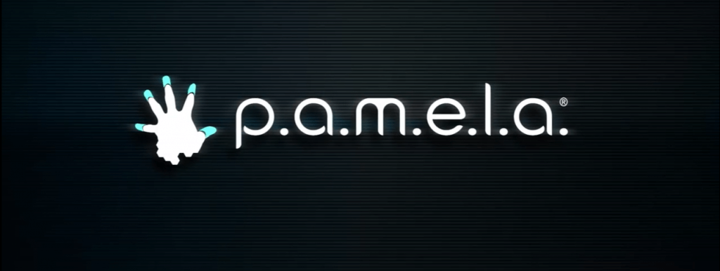 p.a.m.e.l.a.