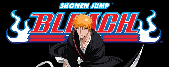 Bleach DVD-Boxen 4-6