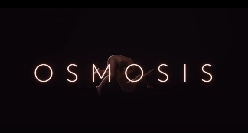 Osmosis Netflix Trailer Start Termin