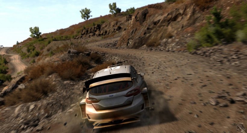 WRC 8 Feedback Video