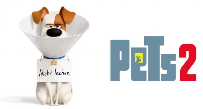 Gewinnspiel Pets 2 Verlosung gratis gewinnen kostenlos kino