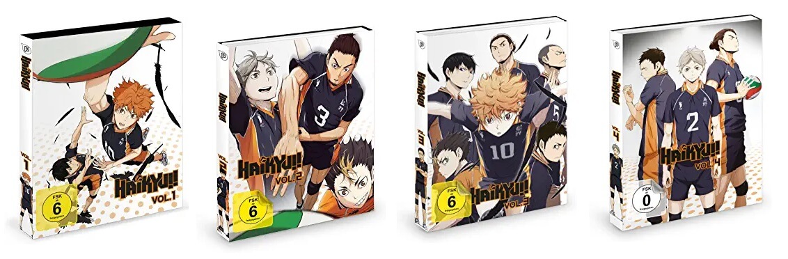 Haikyu!! Staffel 1 Test