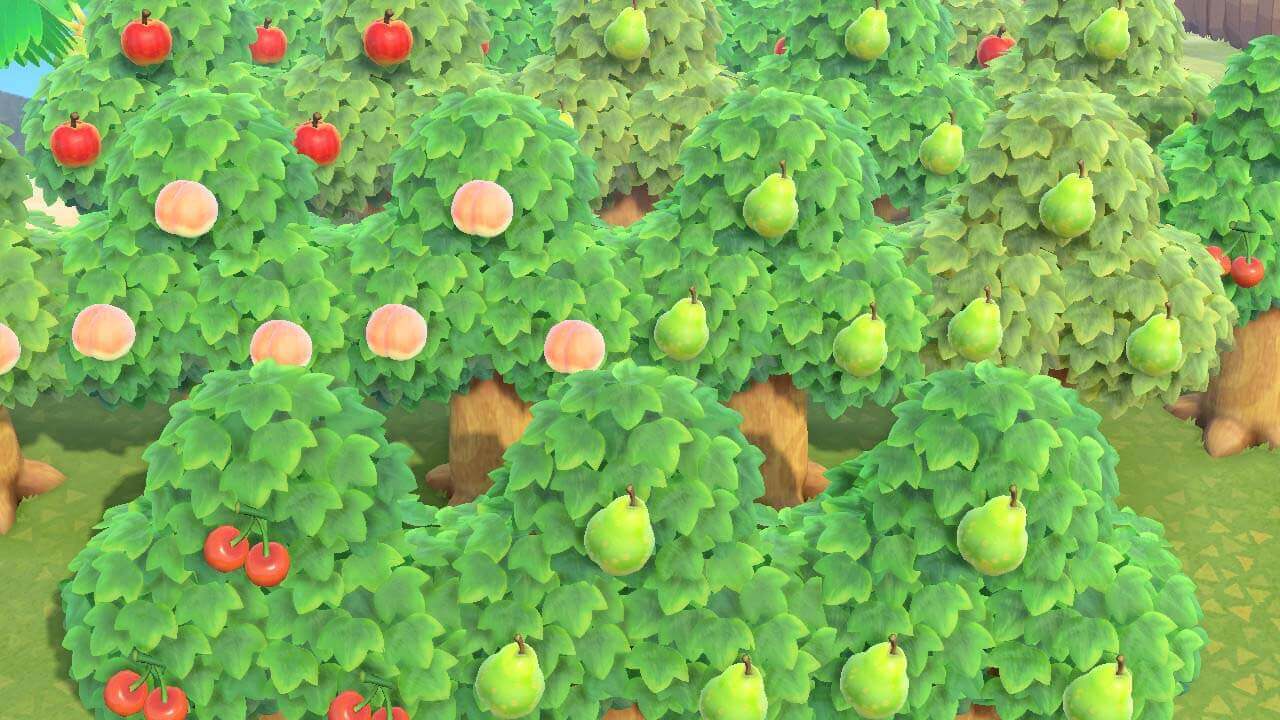 Animal Crossing New Horizons Obst Bekommen Animal Crossing: New Horizons Sternis verdienen, leicht gemacht