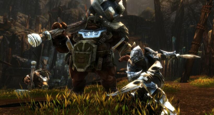 Kingdoms of Amalur