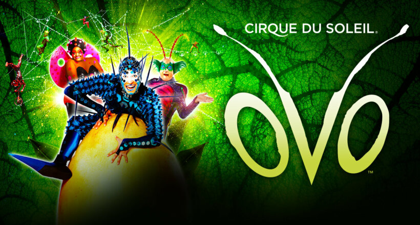 Cirque du Soleil Ovo