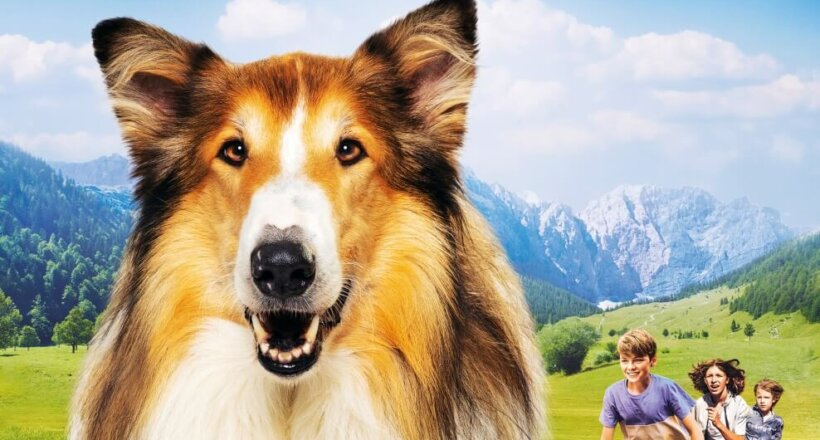 Lassie - Ein neues Abenteuer (2023) - IMDb