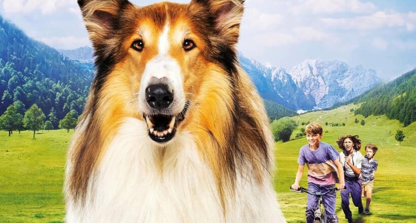 Lassie - Ein neues Abenteuer Gewinnspiel