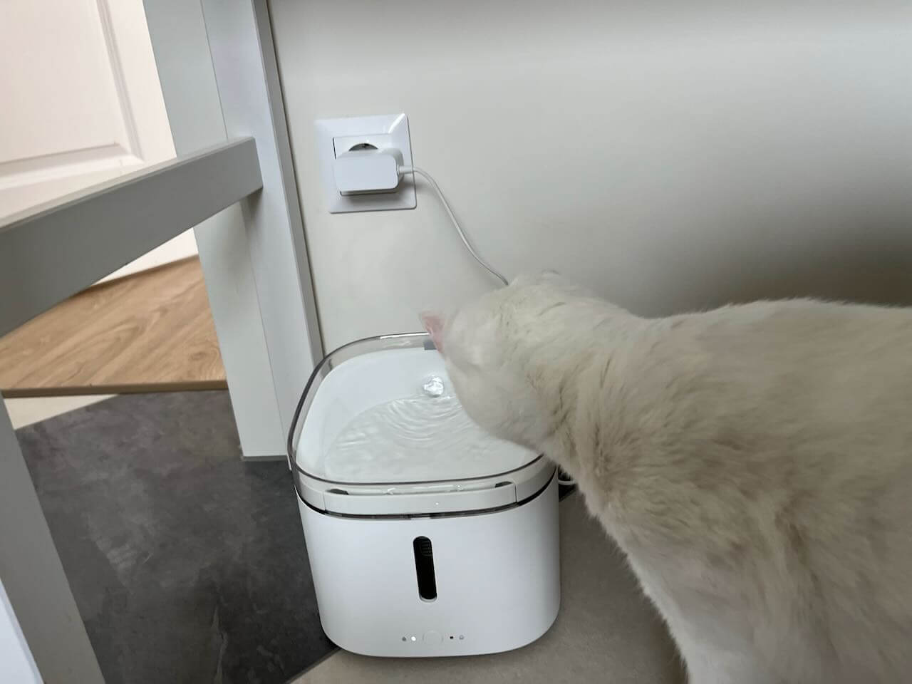 Xiaomi kitten puppy pet water dispenser hotsell