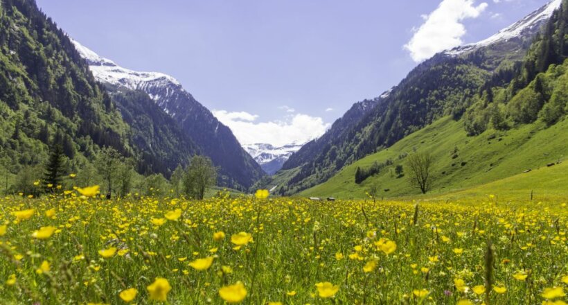 Raurisertal