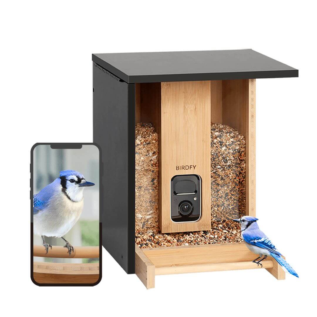 Birdfy Feeder Bamboo Test: Nachhaltiges Holz-Vogelhäuschen mit ...