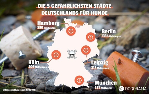 Dogorama Giftköder-Ranking