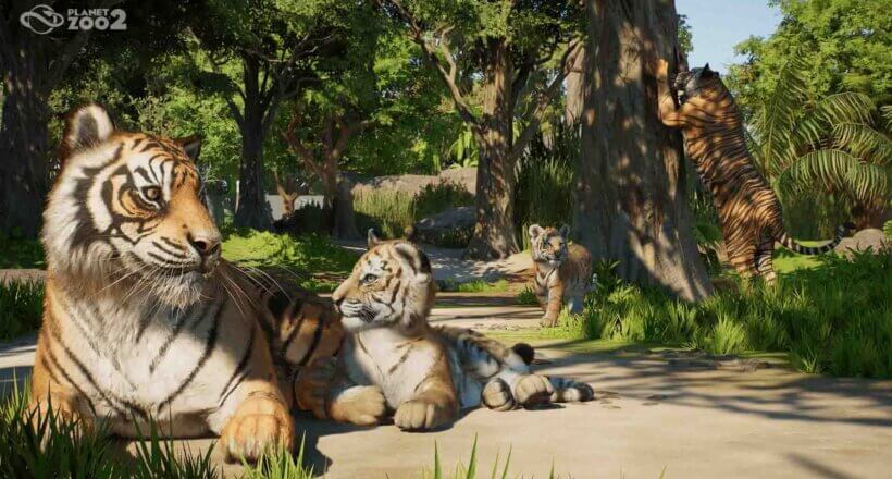 Planet Zoo 2 Tiger